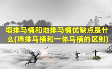 墙排马桶和地排马桶优缺点是什么(墙排马桶和一体马桶的区别)