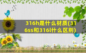 316h是什么材质(316ss和316l什么区别)