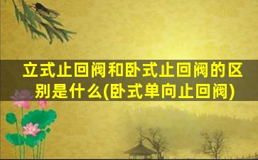 立式止回阀和卧式止回阀的区别是什么(卧式单向止回阀)