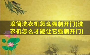 滚筒洗衣机怎么强制开门(洗衣机怎么才能让它强制开门)