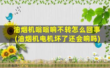 油烟机嗡嗡响不转怎么回事(油烟机电机坏了还会响吗)