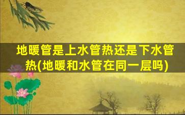 地暖管是上水管热还是下水管热(地暖和水管在同一层吗)