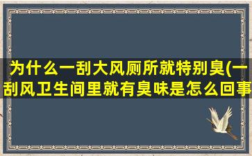 为什么一刮大风厕所就特别臭(一刮风卫生间里就有臭味是怎么回事)