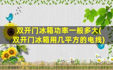 双开门冰箱功率一般多大(双开门冰箱用几平方的电线)