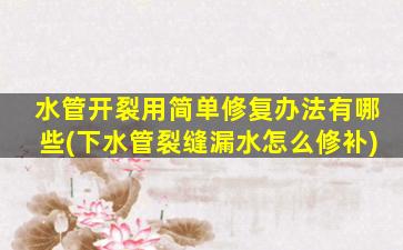水管开裂用简单修复办法有哪些(下水管裂缝漏水怎么修补)