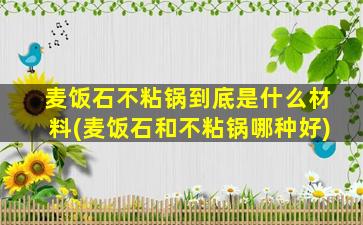 麦饭石不粘锅到底是什么材料(麦饭石和不粘锅哪种好)