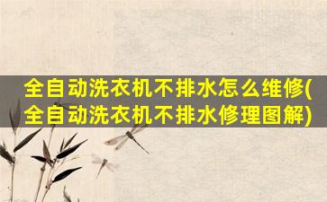 全自动洗衣机不排水怎么维修(全自动洗衣机不排水修理图解)