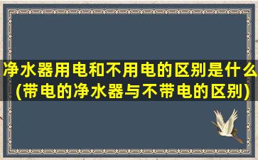 净水器用电和不用电的区别是什么(带电的净水器与不带电的区别)