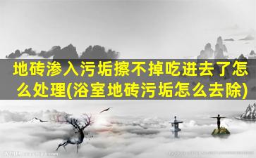 地砖渗入污垢擦不掉吃进去了怎么处理(浴室地砖污垢怎么去除)