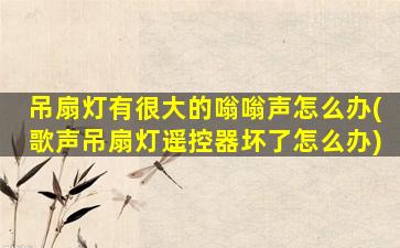 吊扇灯有很大的嗡嗡声怎么办(歌声吊扇灯遥控器坏了怎么办)