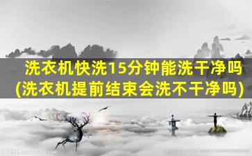 洗衣机快洗15分钟能洗干净吗(洗衣机提前结束会洗不干净吗)