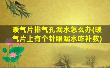 暖气片排气孔漏水怎么办(暖气片上有个针眼漏水咋补救)