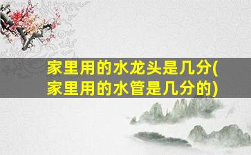 家里用的水龙头是几分(家里用的水管是几分的)