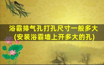浴霸排气孔打孔尺寸一般多大(安装浴霸墙上开多大的孔)