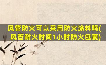 风管防火可以采用防火涂料吗(风管耐火时间1小时防火包裹)