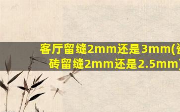 客厅留缝2mm还是3mm(瓷砖留缝2mm还是2.5mm)