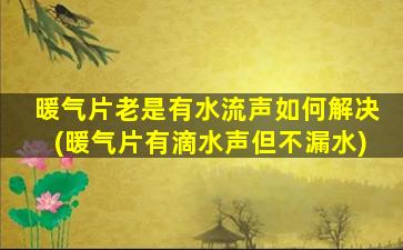 暖气片老是有水流声如何解决(暖气片有滴水声但不漏水)