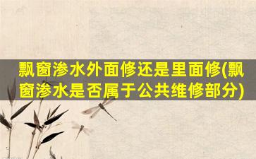 飘窗渗水外面修还是里面修(飘窗渗水是否属于公共维修部分)