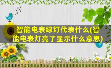 智能电表绿灯代表什么(智能电表灯亮了显示什么意思)