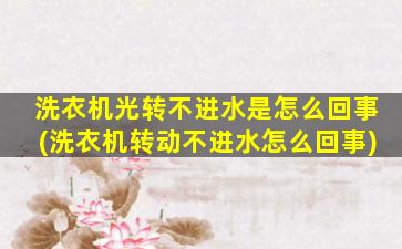 洗衣机光转不进水是怎么回事(洗衣机转动不进水怎么回事)