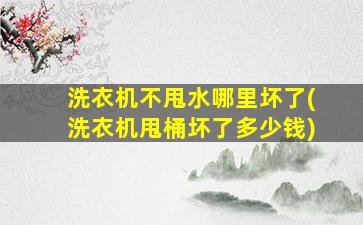 洗衣机不甩水哪里坏了(洗衣机甩桶坏了多少钱)