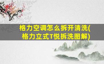 格力空调怎么拆开清洗(格力立式T悦拆洗图解)