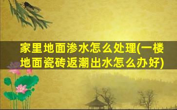 家里地面渗水怎么处理(一楼地面瓷砖返潮出水怎么办好)