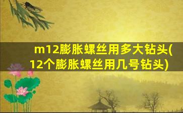 m12膨胀螺丝用多大钻头(12个膨胀螺丝用几号钻头)