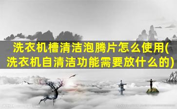 洗衣机槽清洁泡腾片怎么使用(洗衣机自清洁功能需要放什么的)