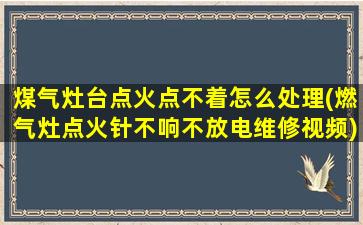 煤气灶台点火点不着怎么处理(燃气灶点火针不响不放电维修视频)