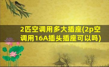 2匹空调用多大插座(2p空调用16A插头插座可以吗)