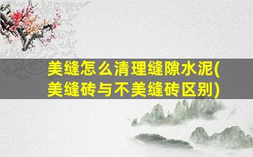 美缝怎么清理缝隙水泥(美缝砖与不美缝砖区别)