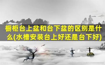 橱柜台上盆和台下盆的区别是什么(水槽安装台上好还是台下好)