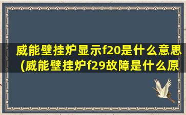 威能壁挂炉显示f20是什么意思(威能壁挂炉f29故障是什么原因)