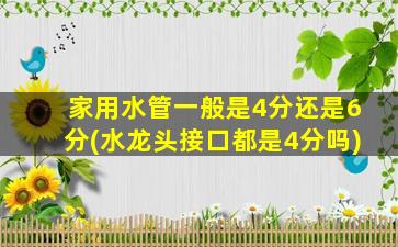 家用水管一般是4分还是6分(水龙头接口都是4分吗)
