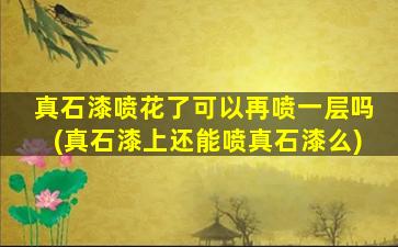真石漆喷花了可以再喷一层吗(真石漆上还能喷真石漆么)
