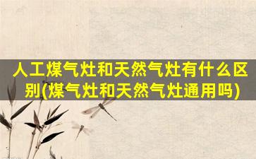 人工煤气灶和天然气灶有什么区别(煤气灶和天然气灶通用吗)