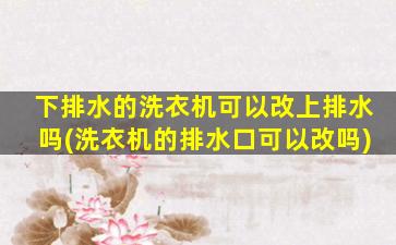 下排水的洗衣机可以改上排水吗(洗衣机的排水口可以改吗)