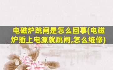 电磁炉跳闸是怎么回事(电磁炉插上电源就跳闸,怎么维修)
