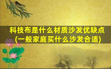 科技布是什么材质沙发优缺点(一般家庭买什么沙发合适)
