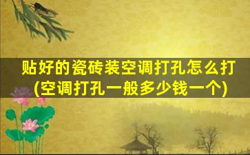贴好的瓷砖装空调打孔怎么打(空调打孔一般多少钱一个)