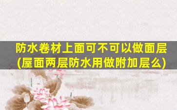 防水卷材上面可不可以做面层(屋面两层防水用做附加层么)