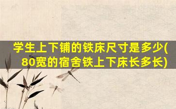 学生上下铺的铁床尺寸是多少(80宽的宿舍铁上下床长多长)