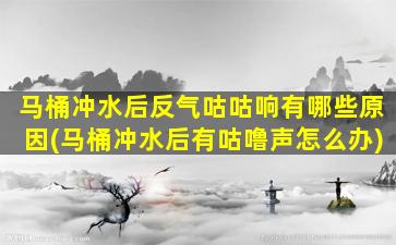 马桶冲水后反气咕咕响有哪些原因(马桶冲水后有咕噜声怎么办)