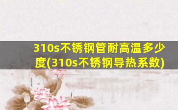 310s不锈钢管耐高温多少度(310s不锈钢导热系数)