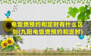 电饭煲预约和定时有什么区别(九阳电饭煲预约和定时)
