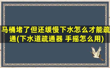 马桶堵了但还缓慢下水怎么才能疏通(下水道疏通器 手摇怎么用)