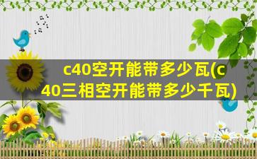 c40空开能带多少瓦(c40三相空开能带多少千瓦)