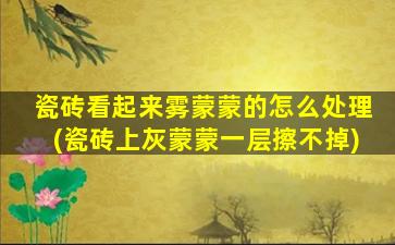 瓷砖看起来雾蒙蒙的怎么处理(瓷砖上灰蒙蒙一层擦不掉)