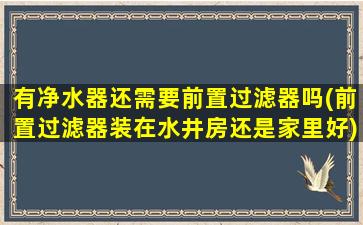 有净水器还需要前置过滤器吗(前置过滤器装在水井房还是家里好)